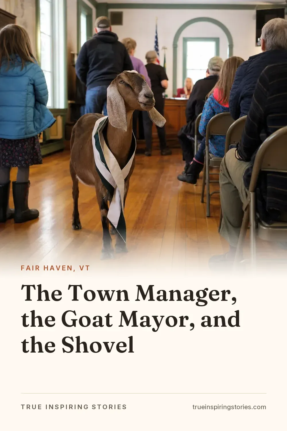 The Town Manager, the Goat Mayor, and the Shovel